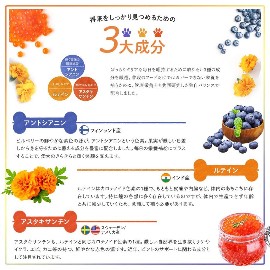 犬 サプリメント サプリ 目 白内障 ルテイン アントシアニン