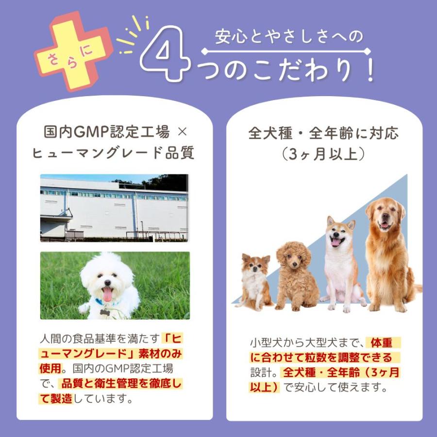 犬 目 サプリ ルテイン サプリメント アイケア 涙やけ