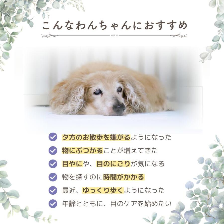 犬 目 サプリ ルテイン サプリメント アイケア 涙やけ