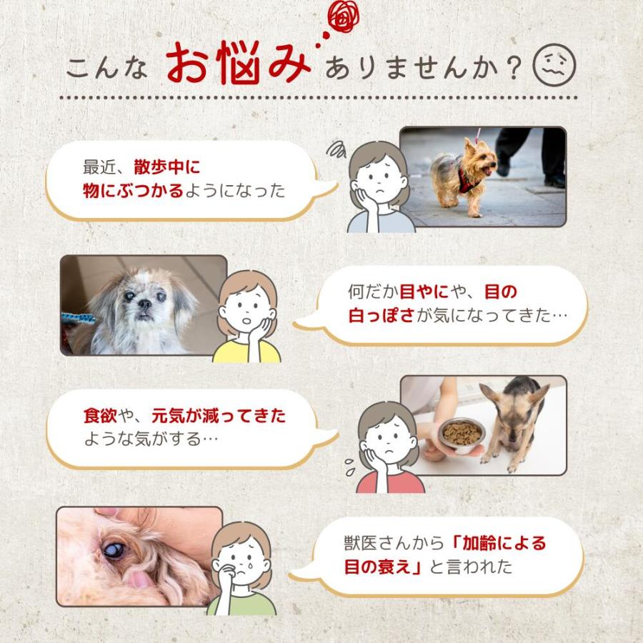 犬 目 サプリ ルテイン サプリメント アイケア 涙やけ