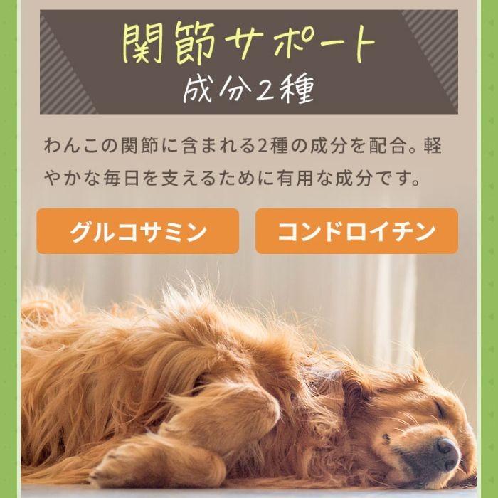 ドッグフード 犬 ダイエット わんこのヘルシー食卓 お試し 国内製造 無
