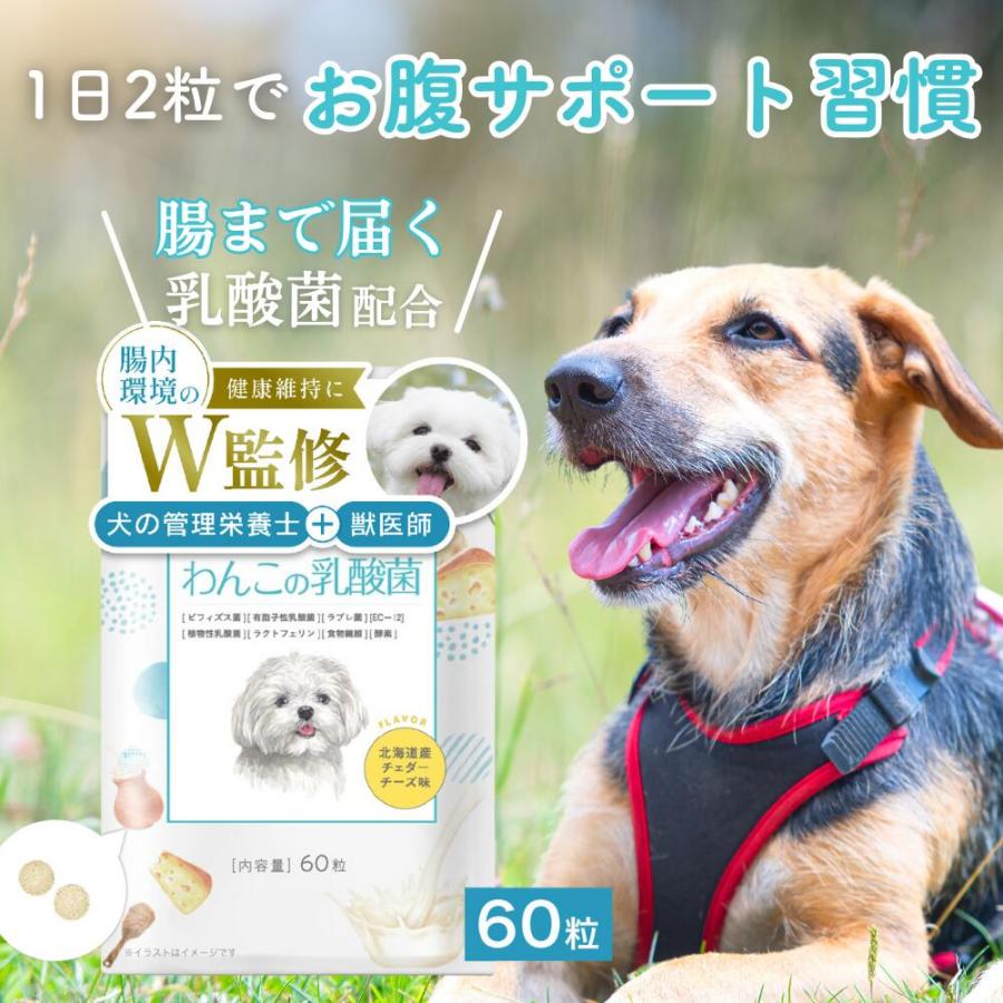 犬 乳酸菌 サプリ サプリメント 免疫 胃腸 腸内環境 整える 無添加
