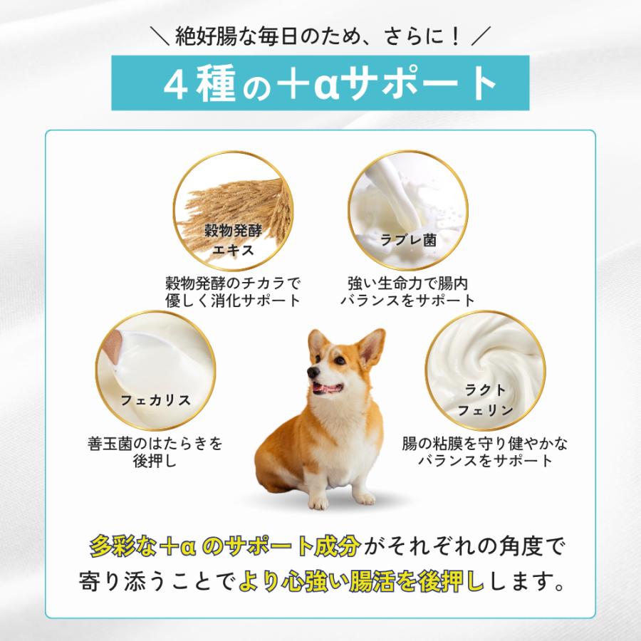 犬 サプリメント サプリ 免疫 胃腸 乳酸菌 腸内環境 整える 無添加