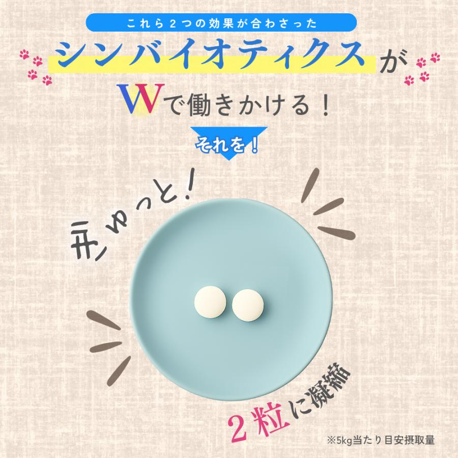 犬 サプリメント サプリ 免疫 胃腸 乳酸菌 腸内環境 整える 無添加