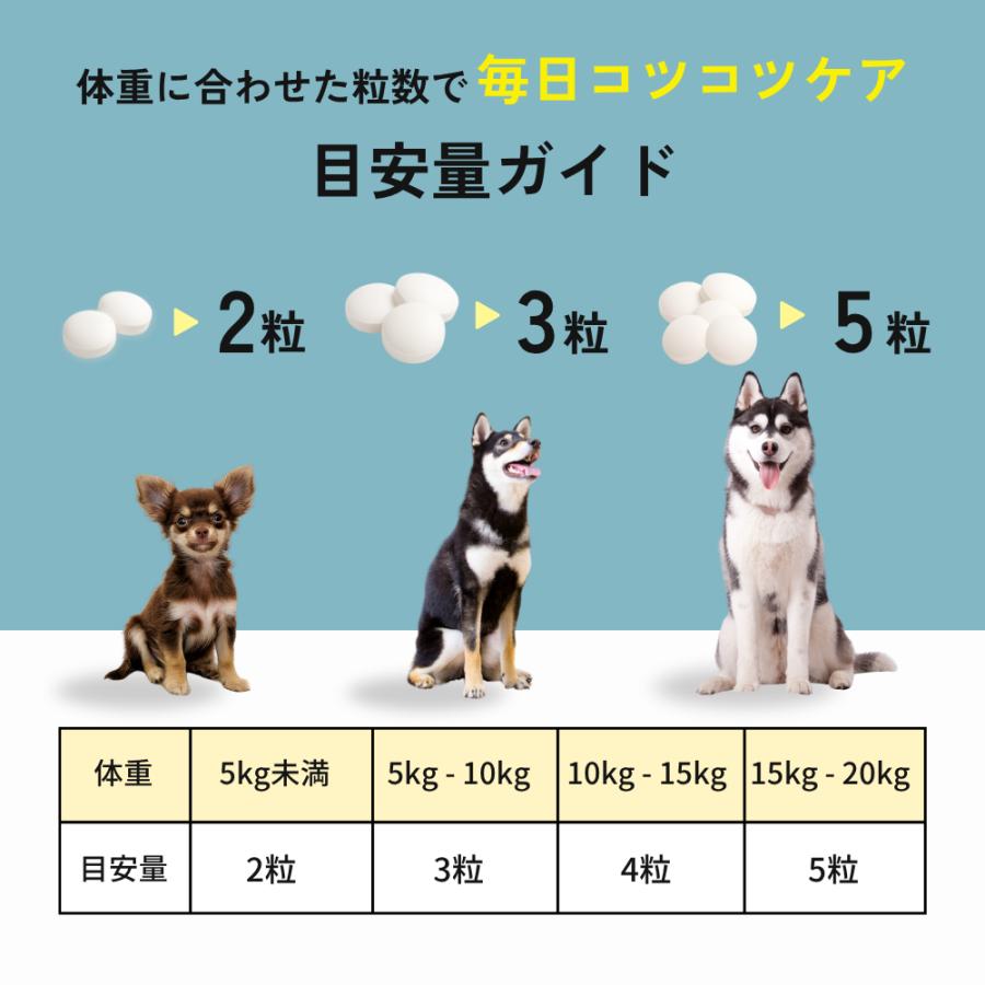 犬 サプリメント サプリ 免疫 胃腸 乳酸菌 腸内環境 整える 無添加