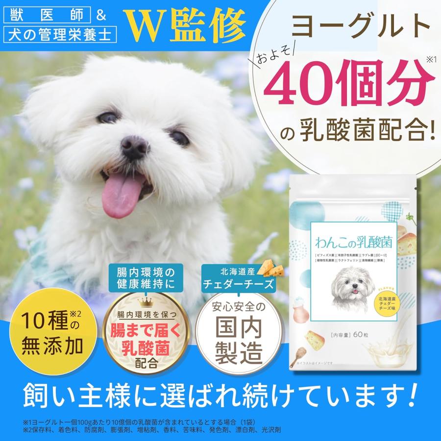 半額まで値下げました(U＾ω＾)ワンちゃん用