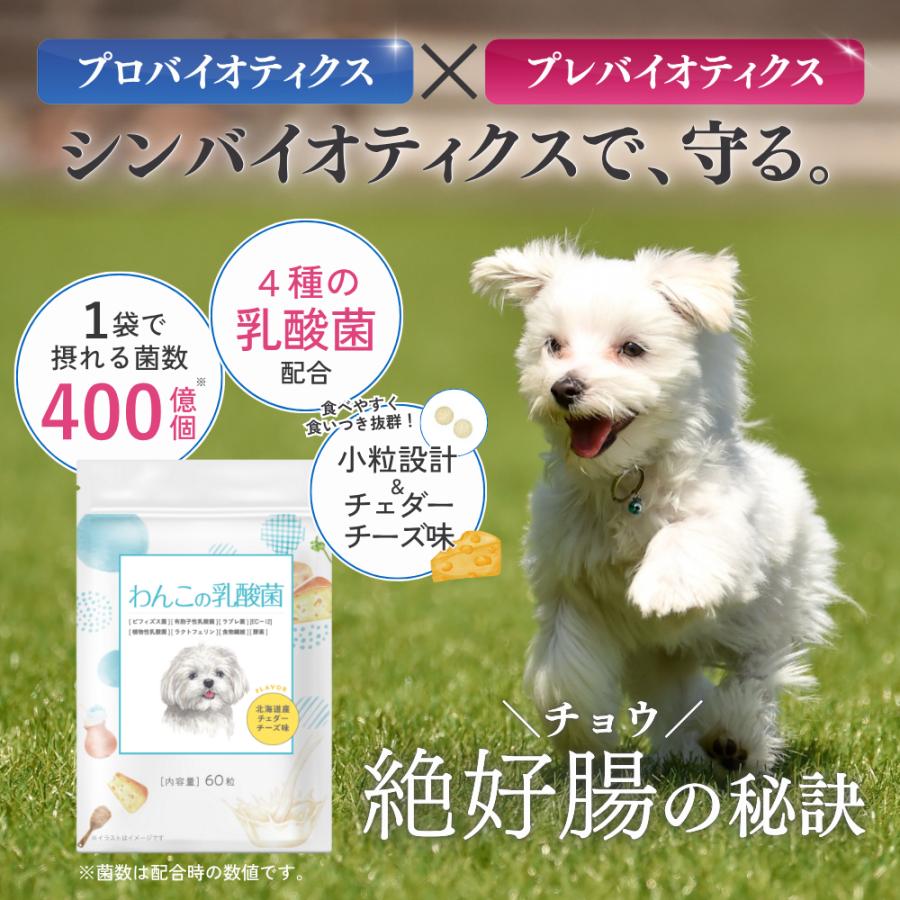 犬 サプリメント サプリ 免疫 胃腸 乳酸菌 腸内環境 整える 無添加