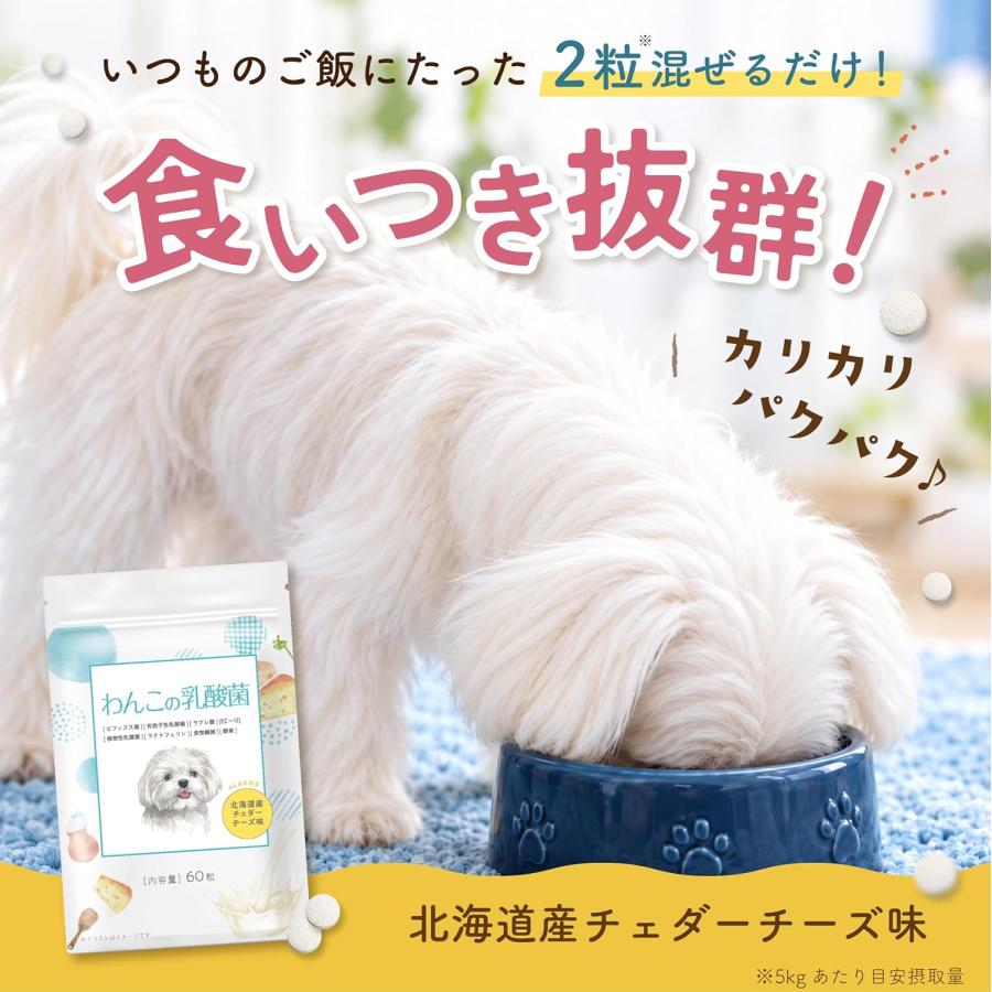 ポイント10倍 犬 乳酸菌 サプリ サプリメント 免疫 胃腸 腸内環境