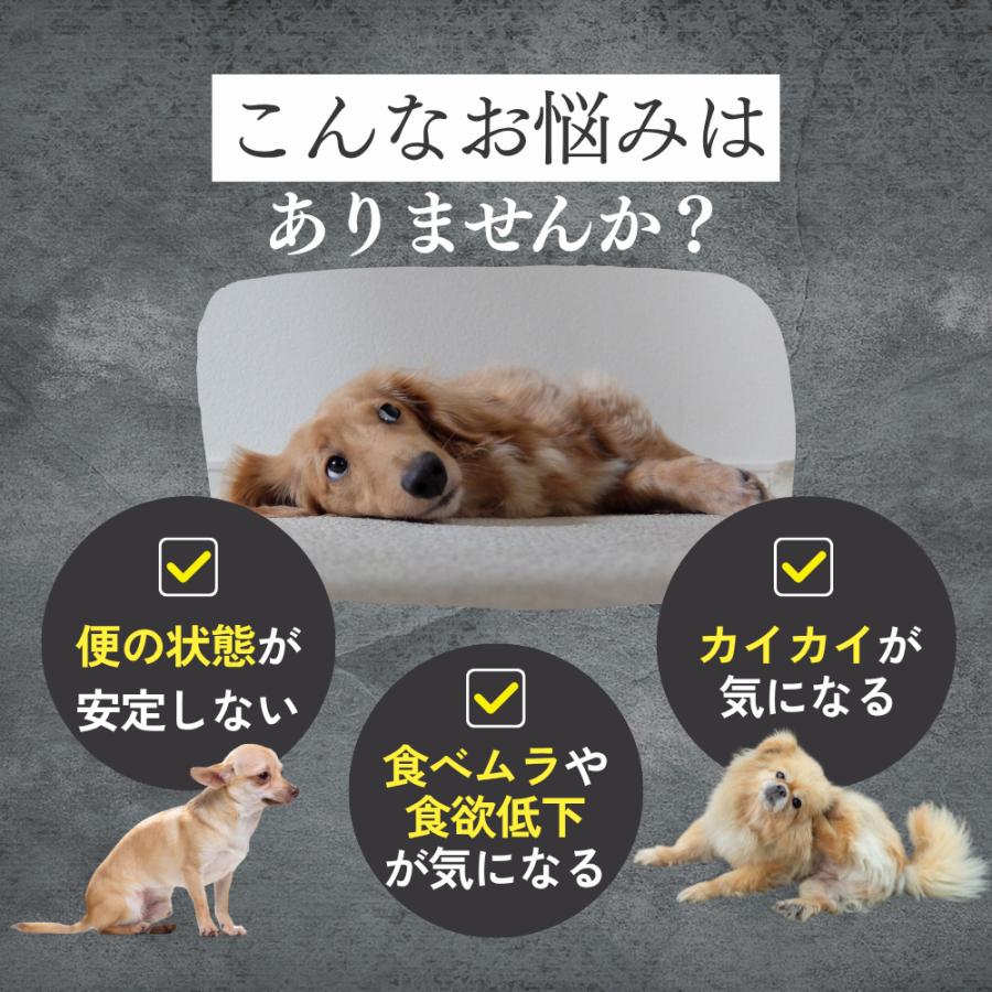 犬 乳酸菌 サプリ サプリメント 免疫 胃腸 腸内環境 整える 無添加