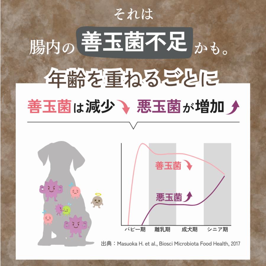 犬 乳酸菌 サプリ サプリメント 免疫 胃腸 腸内環境 整える 無添加