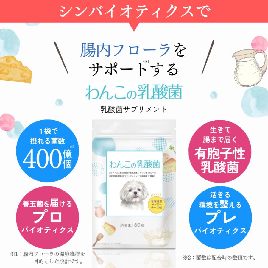 犬 サプリメント サプリ 免疫 胃腸 乳酸菌 腸内環境 整える 無添加