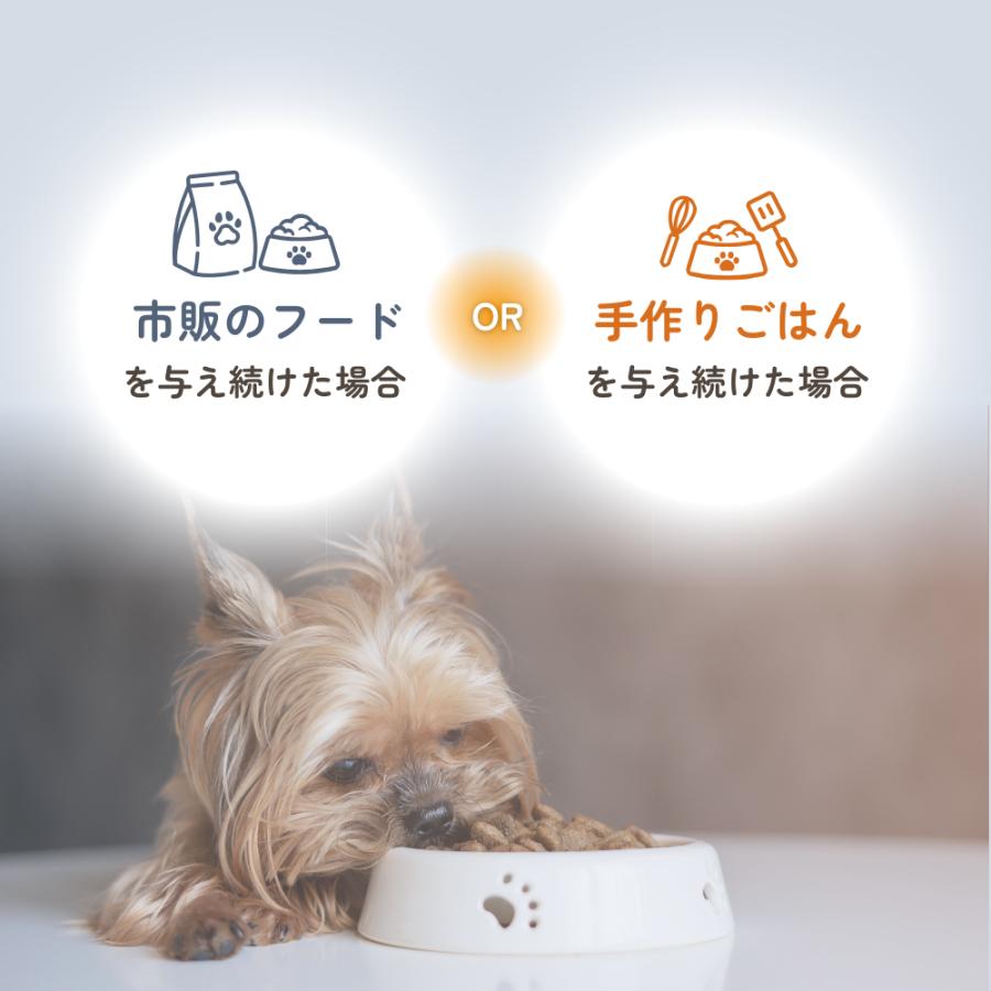 ドッグフード シニア 消化器 低脂肪 手作りごはん 国内製造 無添加