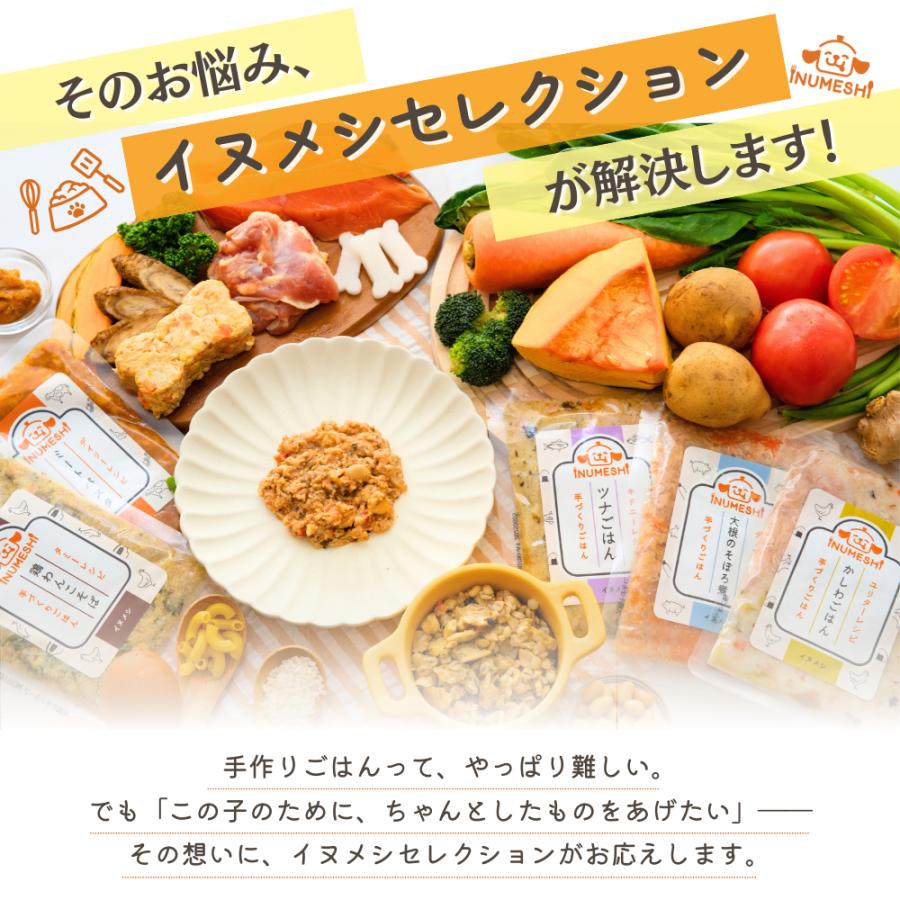 ドッグフード シニア 消化器 低脂肪 手作りごはん 国内製造 無添加
