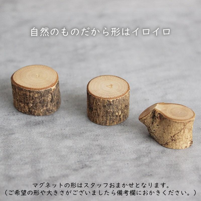 マグネット 切り株 木製 磁石 メモ 日本製 国産 便利 ミニ 小さい 年輪