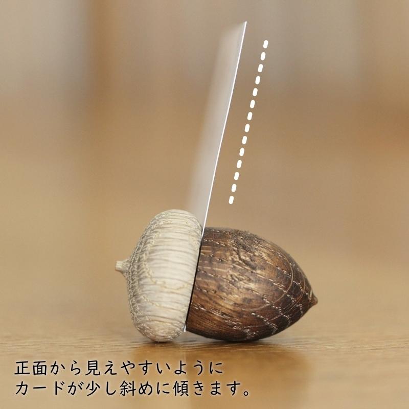 カードスタンド どんぐり ドングリ マグネット 日本製 国産 磁石 木製