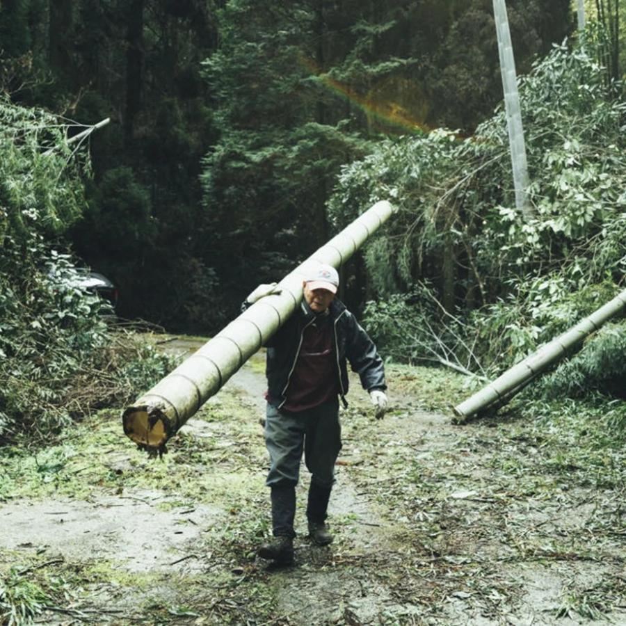 ちいさめの菜箸 26.5cm（食洗機対応） 日本製 竹製 国産竹 ヤマチク 女性 男性 夫婦 親子 家族 シンプル おしゃれ かわいい お揃い 盛り付け |  | 05