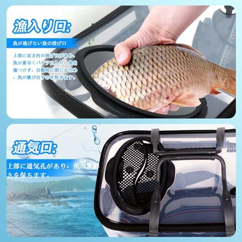 釣り バケツ 透明 魚が一目瞭然 バッカン35CM スプリングカバー 釣り バケツ 透明 魚が一目瞭然 バッカン35CM スプリングカバー