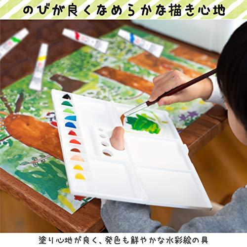 サクラクレパス 絵の具セット メッシュ パステルミント ラミチューブ絵の具入り EWZ-R12#929｜baxonshop-honten｜06