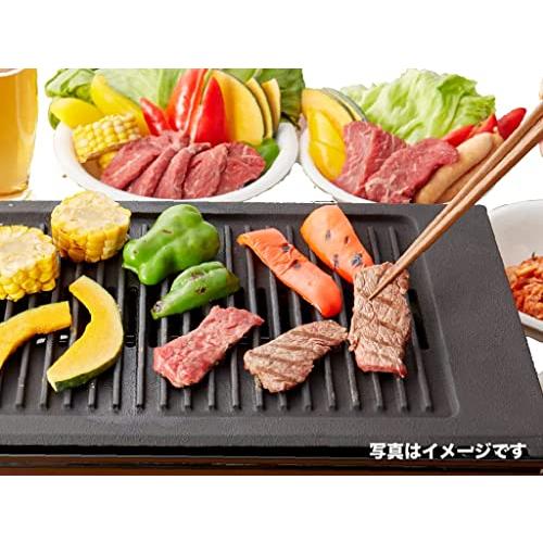 都市ガス用ヤマキン ガス高級焼肉器「王者Sタイプ」Y-18S 都市ガス用ヤマキン ガス高級焼肉器「王者Sタイプ」Y-18S
