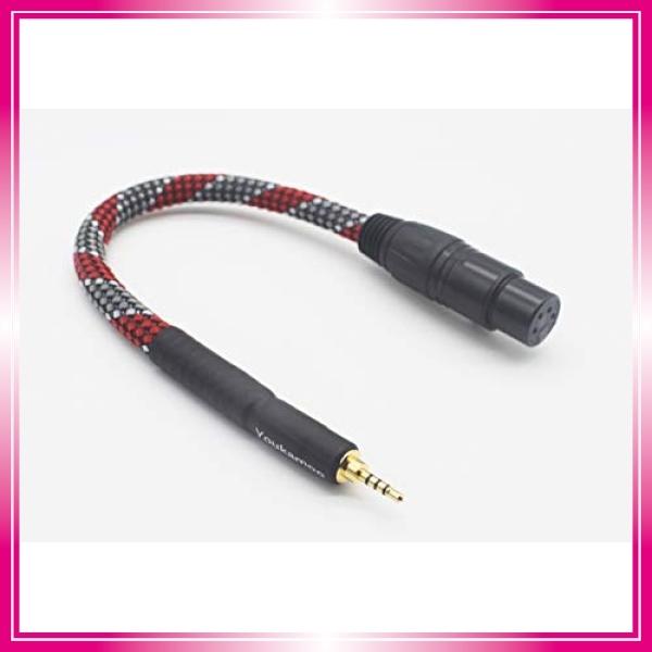 2 5mm 4極 変換 4 Pin Xlr メス ケーブル外径8mm変換プラグ 2 5mm 4極 メス バランス 変換 ステレオ ケーブル 4 Pi Wss 14pelx4g4na6 Bay Center 通販 Yahoo ショッピング