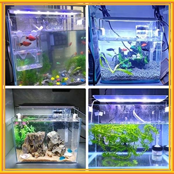 Ledgle 水槽ライト 8w アクアリウム ライト 30 40cm水槽対応 40led 5青35白 Led 魚ライト 水槽照明 水草育成 観賞魚 Wss 46lksqggoqsn Bay Center 通販 Yahoo ショッピング