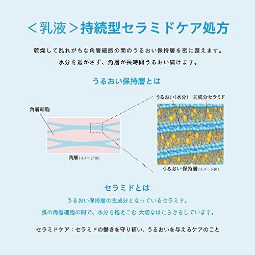 ソフィーナボーテ 高保湿乳液 しっとり 60g｜bayashin-store｜05