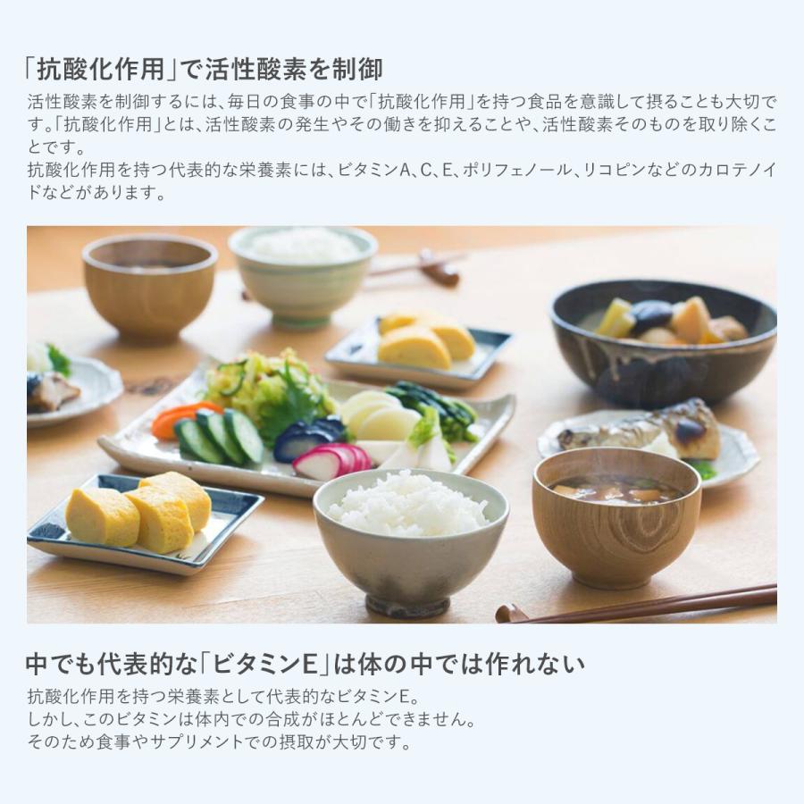 menevit（メネビット） 亜鉛 男性用サプリメント 妊活 サプリ 90粒 30