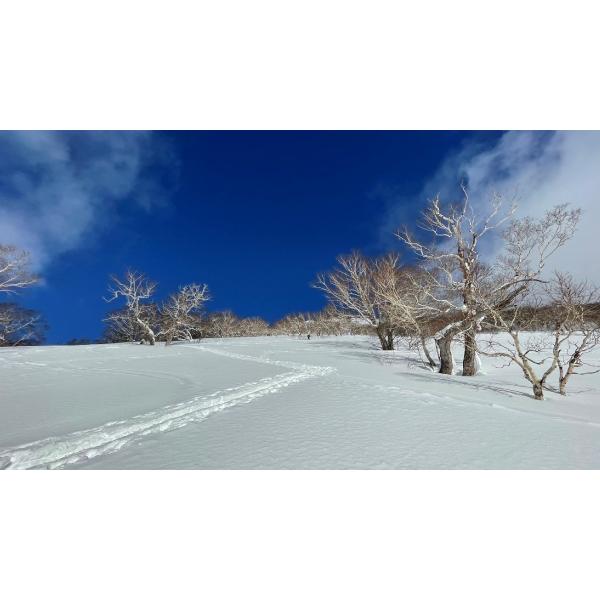 スキー スノボメンテナンス用blpホットワックスセット最速