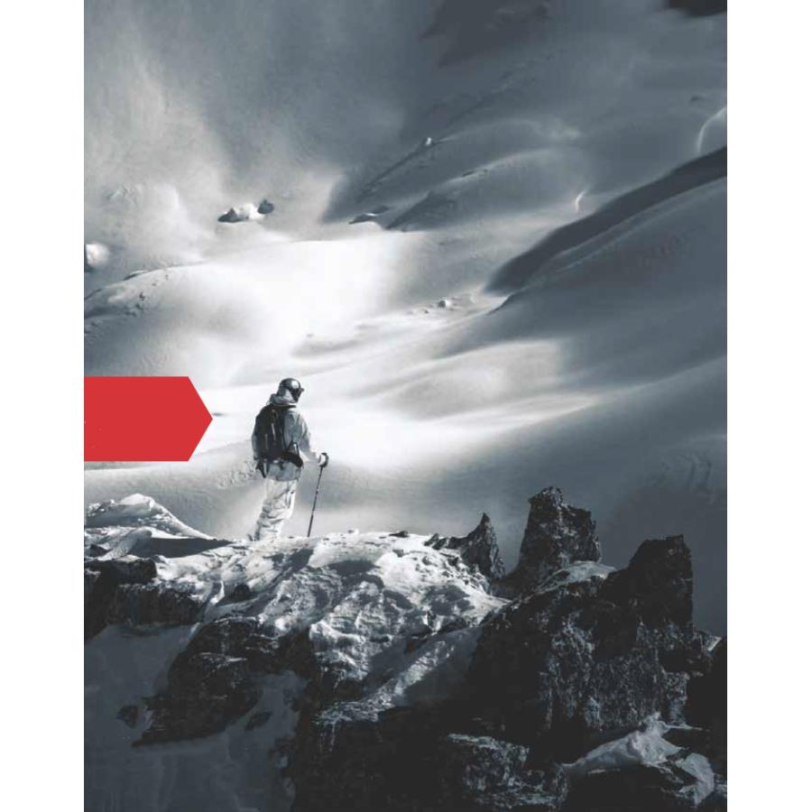 雪崩ビーコン バックカントリー アルバ ARVA EVO5+ エボファイブプラス