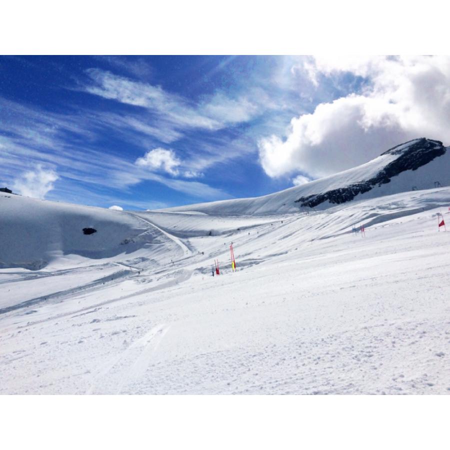 スノーボードソールガードB317 blp ALPINE BOARD PROTECTOR プレート