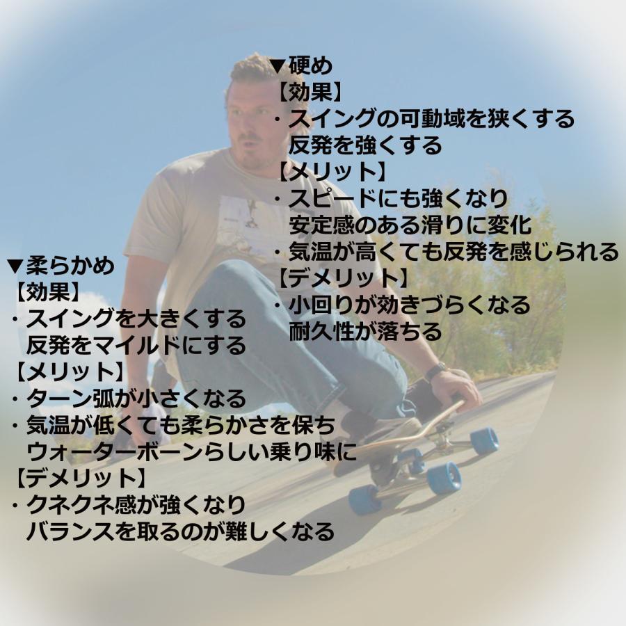 スケートボードブッシュ RipTide リップタイド ウォーターボーンサーフ