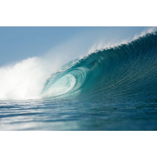 新品保管品　Heavenグライダークラシックロングボード9.9 新品保管品 Heavenグライダークラシックロングボード9.9