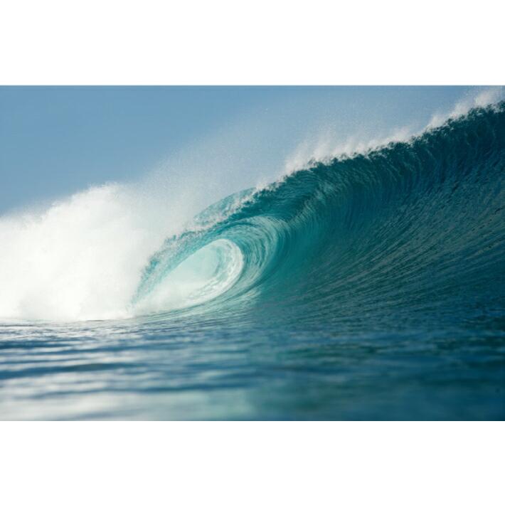 HEAVEN SKATEBOARD BAMBOO 40\" ロンスケ BAMBOO 40