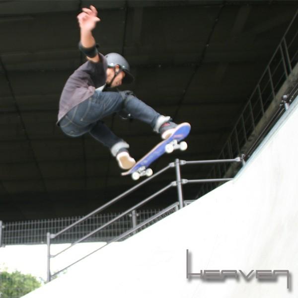 ブルーバード / 板 /スケートボード 新品未使用 スケートボード コンプリート Vitamin 31×8inch HEAVEN スケボー