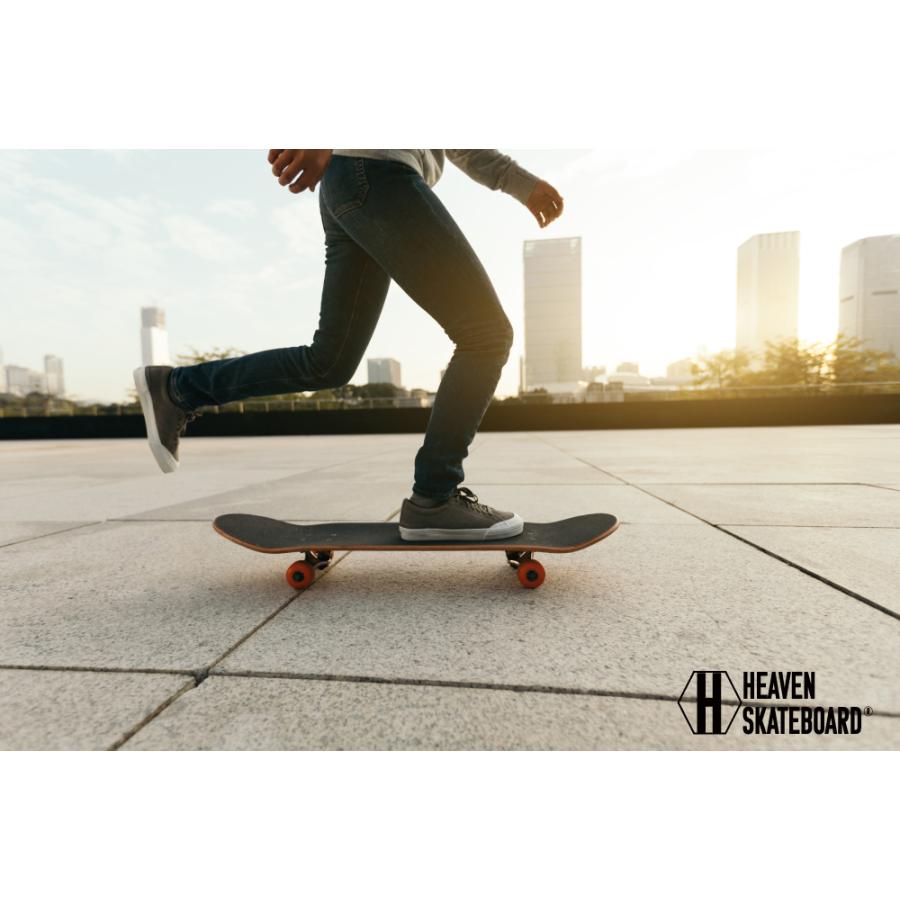 RAYNE ANTHEM レインスケートボード　アンセム　デッキ RAYNE ANTHEM レインスケートボード アンセム デッキ RAYNE ANTHEM