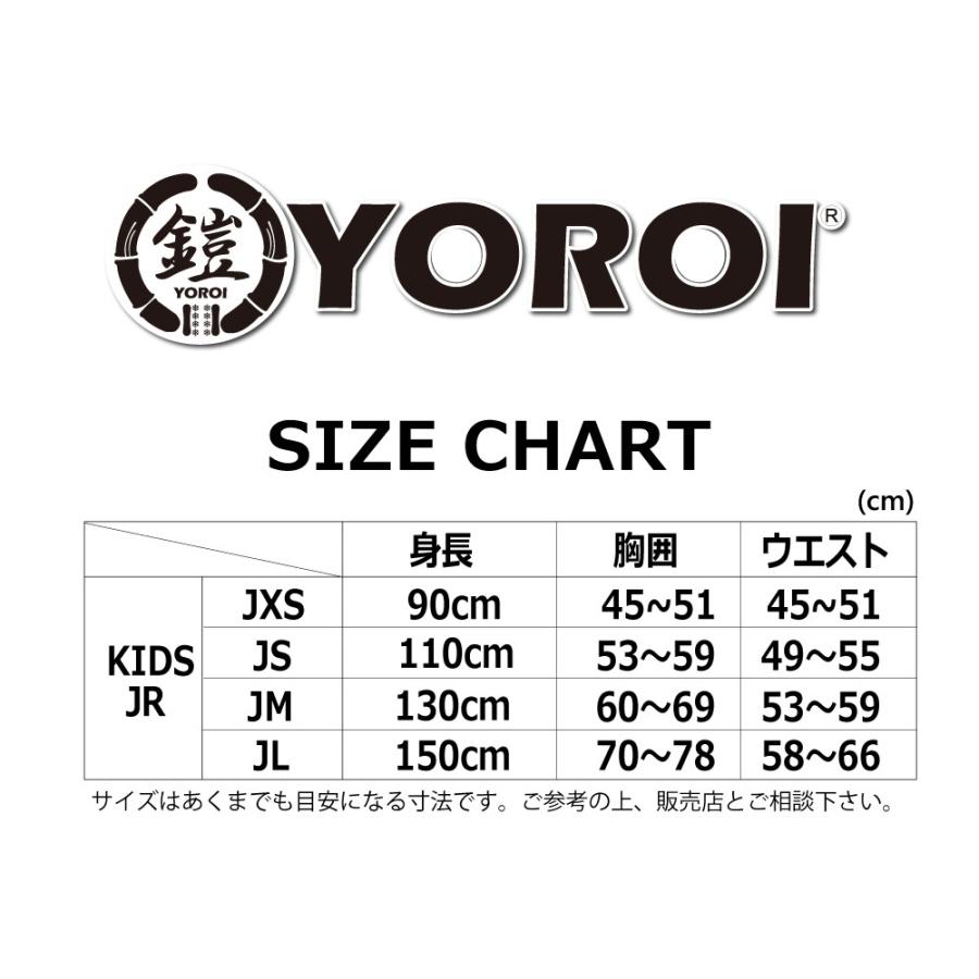 スノボー スキー 子供用ヒッププロテクター ヒップパッド YS315II