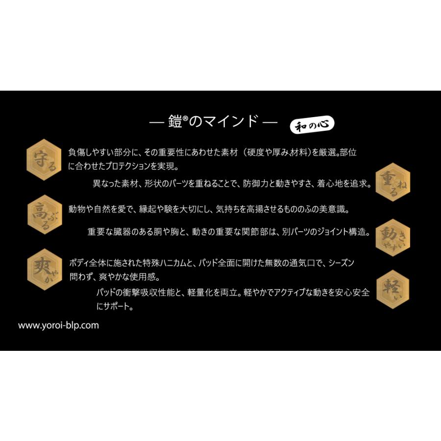 プロテクター 上半身用 ベストタイプ オールシーズン可 スノーボード