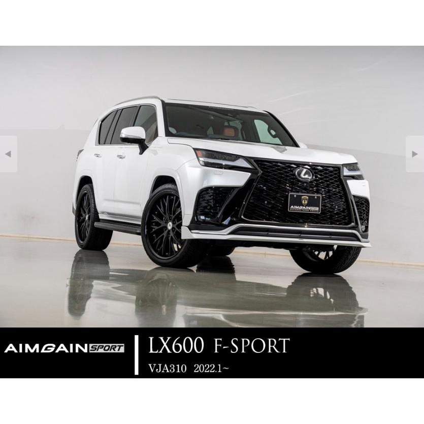 レクサス（LEXUS） フロントアンダースポイラー FRP製 LEXUS