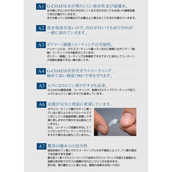 ガラスコーティング剤 車 ボディー用ナノハイブリッドMII 手洗い洗車