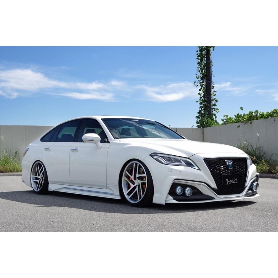 7月限定価格　パキポディウム　ウインゾリー　実生 1 パキポディウム ウィンゾリー 【実生】GM2402214 | RAFLUM