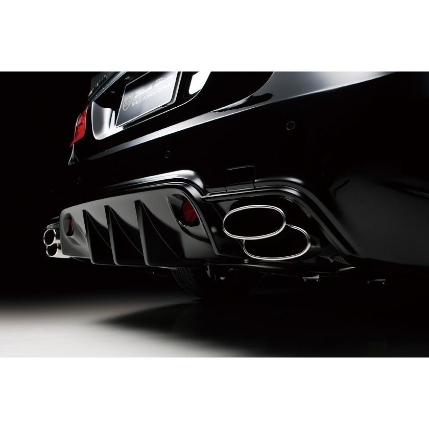 WALD EXECUTIVE LINE DTMスポーツマフラー DTMスポーツマフラー メルセデスベンツ Eクラス W212 '09y