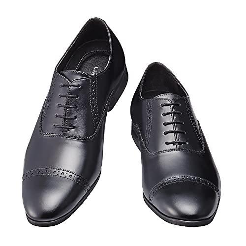 リアル 革靴 メンズ ビジネスシューズ 本革 [ライムガーデン] 紳士靴 (黒,25.0cm) LG510 ストレートチップ 内羽根 ステアレザー ビジネスシューズ