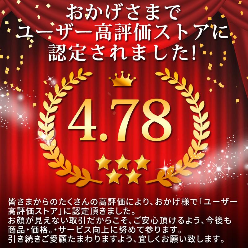 バキュームリフター 車 吸盤 強力 ミニ 修理 ヘコミ 凹み 吸着盤 グリップワンタッチ 運搬 Bazs110 Bazs 通販 Yahoo ショッピング