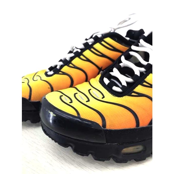 air max plus tiger
