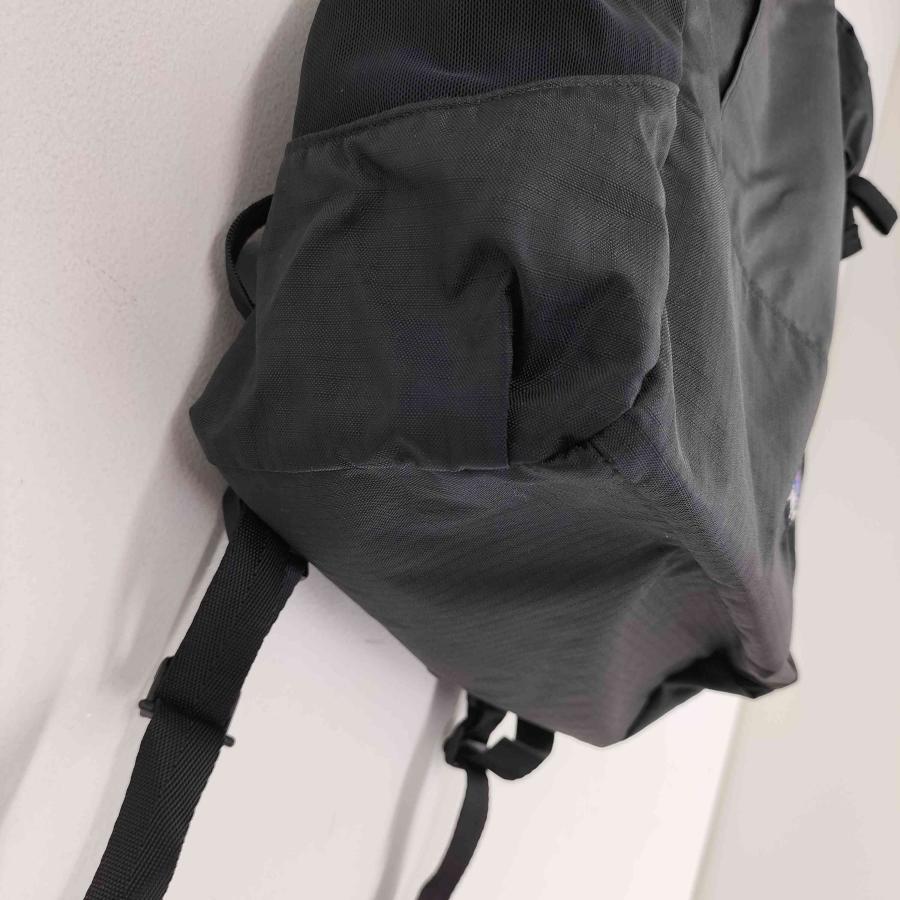patagonia patagonia(パタゴニア) LW Travel Tote Pack ライト patagonia patagonia(パタゴニア) LW Travel Tote Pack ライト