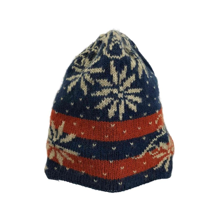 patagonia（パタゴニア） ニット ポーラーキャップ メンズ 表記無 中古