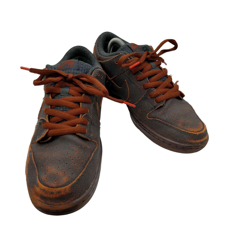 Nike SB NIKE SB(ナイキスケートボーディング) Dunk Low Pro Dark 