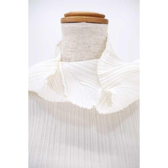 新年の贈り物 ハイネックプリーツトップス サイズ3 レディース その他トップス Please Pleats プリーツプリーズ ポリエ 白系 プリーツプリーズ Please Pleats 中古 0605 ブランド古着バズストア トップス Www Leahbeeferman Com