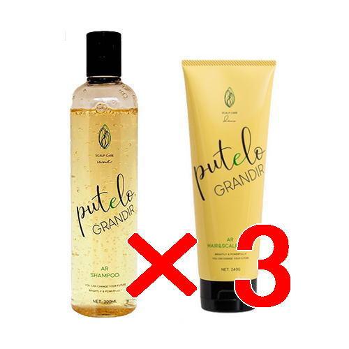 putelo シャンプー 300ml 3本セット プテロ putelo ／ グランディール シャンプー 300ml ＋ ヘア