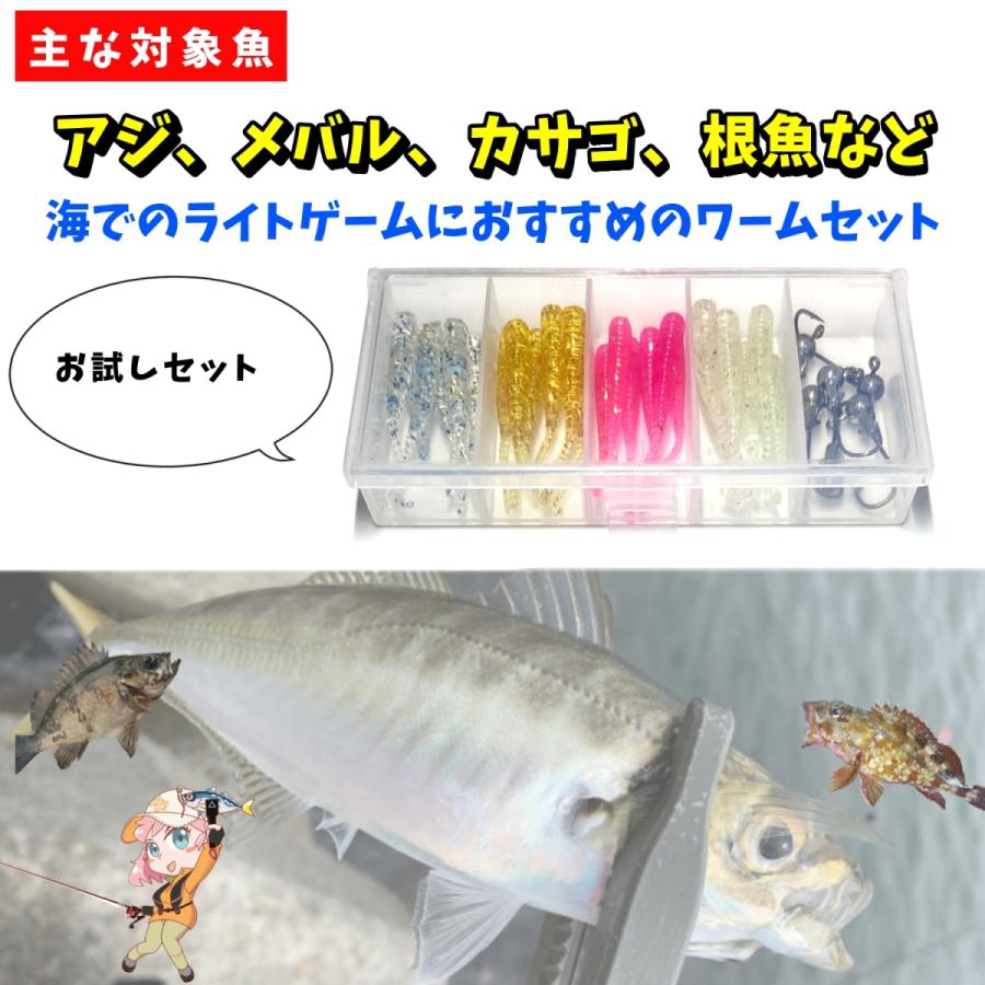 flavor ライトゲームお試しセット アジングワーム ジグヘッド 計30個セット ケース付き アジ メバル カサゴ アイナメ等 Otms 01 ルアーショップ flavor 通販 Yahoo ショッピング